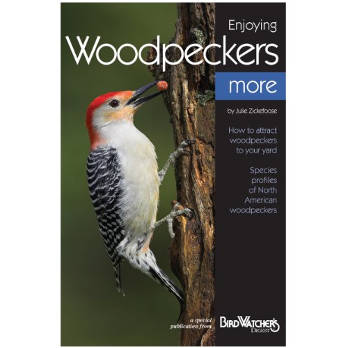 Bird Watchers Digest 415 Enjoying Woodpeckers More Booklet