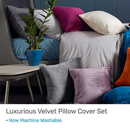 Sleep Mantra Velvet Black Throw Pillow Cases - Plush Comfortable 2 Piece Set of 18 x 18 Inch Smooth Decorative Cushion Cover, Soft Fade Resistant Washable Pillow Covers