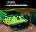 wLure 5 Hollow Body Topwater Frogs Fishing Lures Baits with Free Tackle Box 2 1/5 Inch 3/8 Oz FG43KBUS