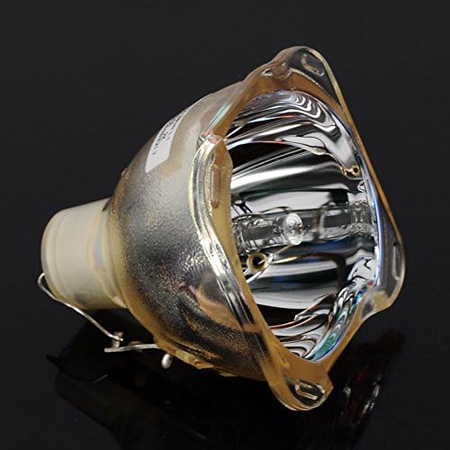 eWorldlamp BENQ 5J.J2805.001 Projector Lamp Original Bare Bulb without housing Replacement for BENQ SP890