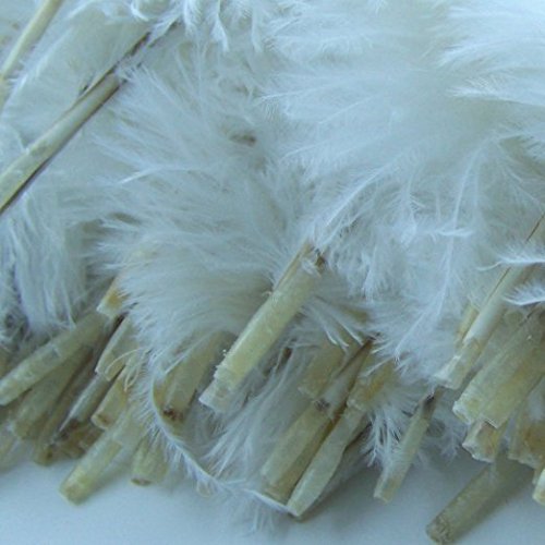 KOLIGHT10pcs Ostrich Feather White 12"-14" Natural Feathers Wedding, Party ,Home ,Hairs Decoration