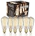 Original Edison Vintage Bulbs - 6 pack - Blaze Bulbs - 60W Incandescent Industrial Bulb - 250 lumens - Clear Glass - Long Life Handmade ST64 Squirrel Cage - Dimmable