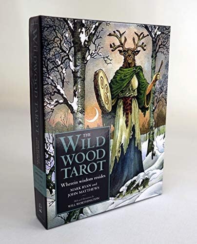 [The Wild Wood Tarot: Wherein Widsom Resides] [By: Ryan, Mark] [November, 2003] Paperback – November 30, 2003