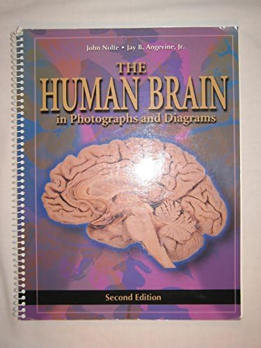 The Brain: An Introduction to Functional Neuroanatomy