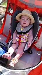 instep robin two seat bicycle trailer