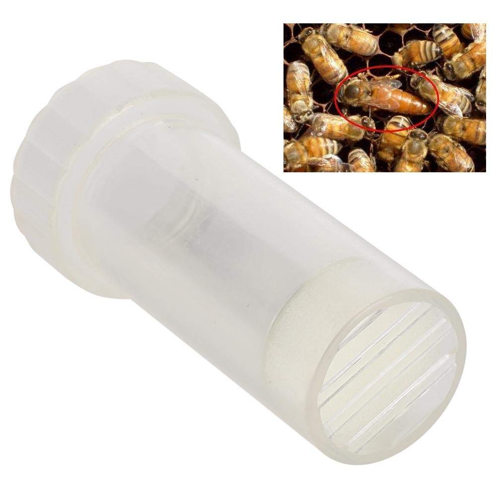 Zerodis Queen Bee Marking Cage, Marking Marker Cage Bottle Bee Catcher Holder Beekeeper Tool Accessory