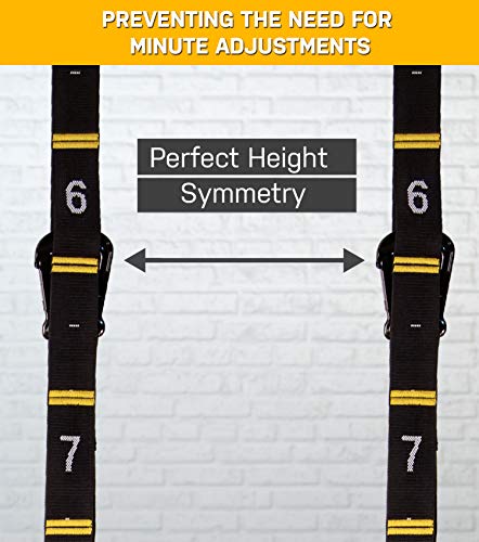 image for Double Circle Numbered Straps for Gymnastic Rings - Carabiner Hook Sys