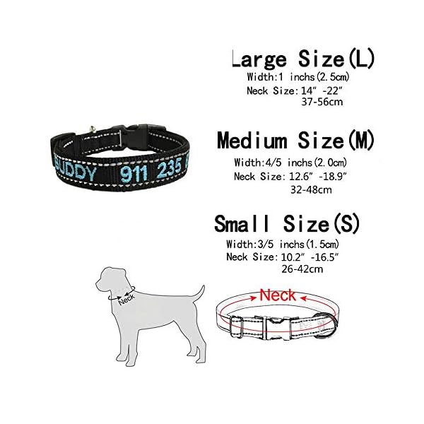 dog id collars personalized