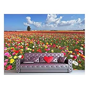 Beautiful Rural Buttercup Meadow - Canvas Art Wall Decor - 66"x96"