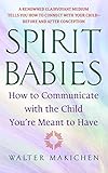 Spirit Babies: How to Communicate with the Child You're Meant to Have by Walter Makichen