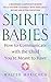 Spirit Babies: How to Communicate with the Child You're Meant to Have by Walter Makichen