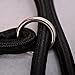 Gefryco Nylon Rope Dog Whisperer Style Slip Training Leash Lead and Collar (Black)