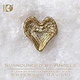 SURROUNDED BY ANGELS                               image