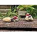 Top Collection Miniature Fairy Garden and Terrarium Napping Garden Gnome on Stone with Cute Bird