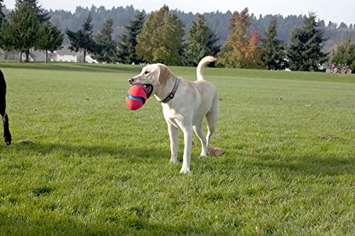 Chuckit Fumble Fetch Toy for Dogs, Small