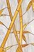 Artscape Bamboo Window Film 24
