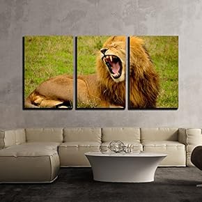 3 Piece Canvas Wall Art - Male Lion | Wildlife Animal - Modern Home Art Stretched and Framed Ready to Hang - 16"x24"x3 Panels