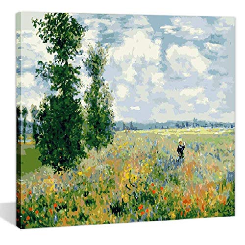 DIY Painting by Numbers for Adults,for Kit On Canvas for Beginners, New