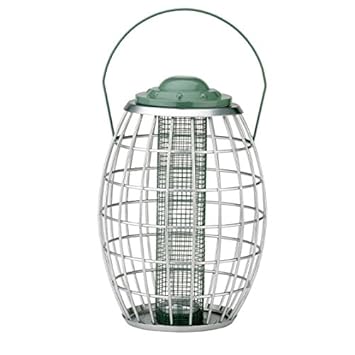 Premium Anti Squirrel Peanut Bird Feeder By Chapelwood Amazon Co