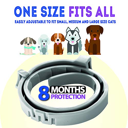 KEXMY Flea and Tick Collar for Dogs - Flea and Tick Prevention for Small, Medium or Large Dog - Waterproof Collar Flea Tick - 8 Month Protection Dog Flea and Tick Control - Thumbnail 4