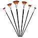 Amagic Fan Brush Set- Artist Soft Anti-Shedding Nylon Hair Paint Brushes for Acrylic Watercolor Oil Painting - Long Wood Handle with Storage Case, Set of 6