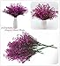 CATTREE Artificial Shrubs Bushes, Plastic Fake Plants Wedding Indoor Outdoor Home Garden Verandah Kitchen Office Table Centerpieces Arrangements Christmas Decoration Fuchsia 8 pcs