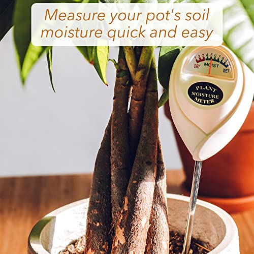 Classy Casita 3-in-1 Soil Moisture Meter - Plant Water, Light & PH Tester For Indoor/Outdoor Gardening (No Batteries)