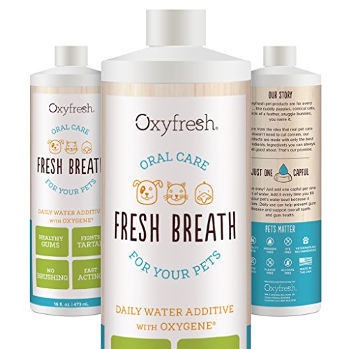 Oxyfresh Premium Pet Dental Care Solution (16oz) Best Way To Eliminate