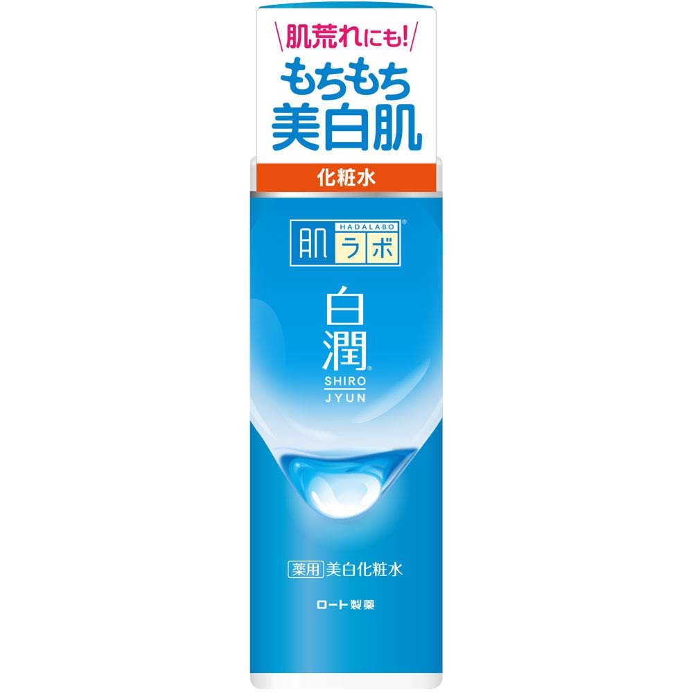 Hada Labo Rohto Shirojyun Medicated Whitening Lotion 170 Ml Amazon De Beauty