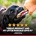 Hill's Science Diet Adult 1-6, Adult 1-6 Premium Nutrition, Small Kibble, Dry Dog Food, Lamb & Brown Rice, 4.5 lb Bag