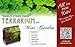 Terrarium/Fairy Garden Kit with 3 Plants - Create Your Own Living Terrarium