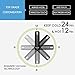 Stainless Steel Water Bottle, FILWO Double Wall Vacuum Insulated Travel Mug 100% Leak & Sweat Proof BPA Free, Cold 24 Hrs / Hot 12 Hrs Perfect Camping, Cycling,Gym,17 oz Vacuum Flask (Black)