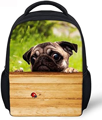 Collect Beauty Cute Cat Pug Printed Durable Kid's Mini Backpack 3D Animal Pattern School Bag For 2-5 years old