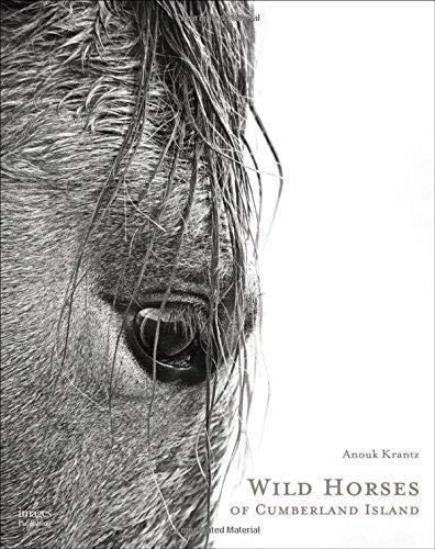 Wild Horses Of Cumberland Island Krantz Anouk Masson Amazon De Bucher