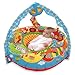 Galt Toys, Playnest & Gym - Farm, Baby Activity Center & Floor Seat, includes 1 x Inflatable ring