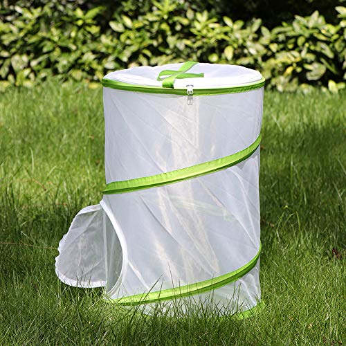 2 RESTCLOUD+Butterfly+Habitat+Collapsible+Terrarium