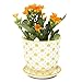 CHIVE ‘Liberte’ Ceramic Succulent Pots — Set of 3 — Cute Vintage Farmhouse Style Planters for Indoor Plants — Beautiful Home & Kitchen Decor — Yellow, Blue & Red (Mix 3)