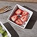 Foraineam 10-Piece Porcelain Ramekins, 4 Ounce Ramekin Bowl Set Square Baking Dipping Bowls