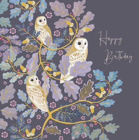 Birthday Card - 'Wise Owls' - National Trust Harmony Range - 462597