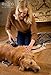 Epica Self-Cleaning Slicker Brush with Pivoting Head for Dogs