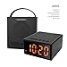 FM Radio Portable Wireless Bluetooth Speaker 8W Waterproof/Shower/Outdoor with Alarm Clock MP3 Player Hands Free Phone Calling Mic, Micro SD TF Slot, External Wire Antenna