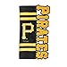 Pittsburgh Pirates Applique Sculpted Garden Flag