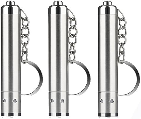 WAYLLSHINE 3 Pack Mini LED Keychain Flashlight, Ultra Bright Key Ring Light LED Keychain Flashlight, Stainless Steel Micro LED Flashlight for Keychain(Pack of 3)