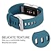 Hanlesi Band Compatible with Fitbit Charge 2, TPU Soft Silicone Adjustable Replacement Sport Strap Large and Small Band for Fitbit Charge 2 Band Smartwatch Heart Rate Fitness
