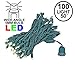 Novelty Lights 100 Light LED Christmas Mini Light Set, Outdoor Lighting Party Patio String Lights, Warm White, Green Wire, 50 Feet primary