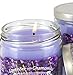 Specialty Pet Products Lavender with Chamomile 13 Oz. Pet Odor Exterminator Candle 2-Pack