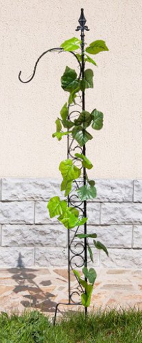 DanDiBo Rankhilfe mit Halter 23299 Rankgitter aus Metall H-144 cm B-27 cm Kletterhilfe – Bild 3