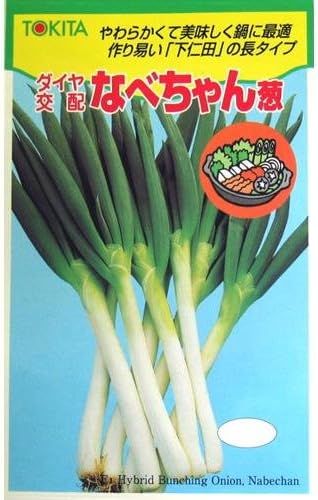 Amazon ネギ 種 なべちゃん葱 小袋 約ml 野菜