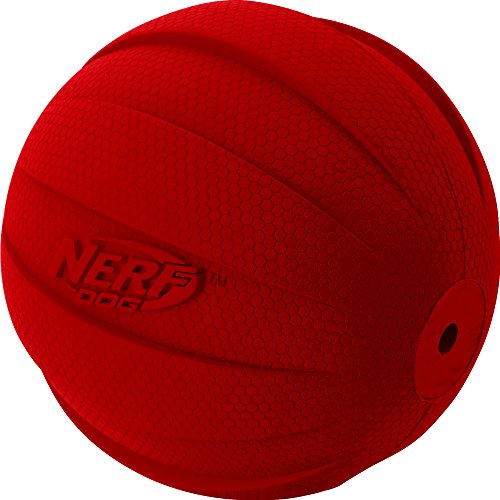 Nerf Dog Rubber Ball Dog Toy with Interactive Squeaker, Lightweight, Durable and Water Resistant