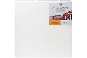 Art Advantage Artist Canvas Visual Edge 20x20